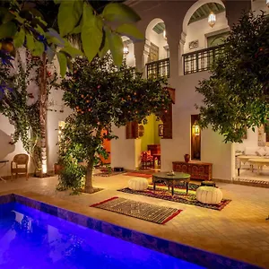 Les Cigognes Riad